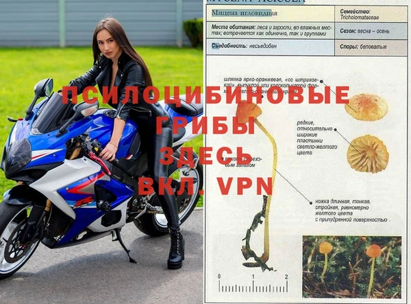 сатива Балабаново